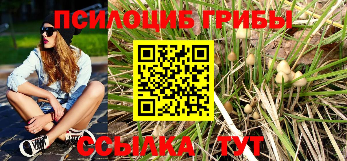 Галлюциногенные грибы Magic Shrooms  наркота  Кимры  Вход с VPN 