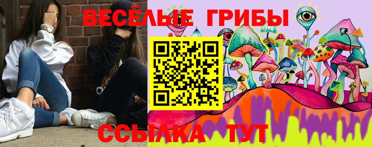 Псилоцибиновые грибы мицелий Кимры